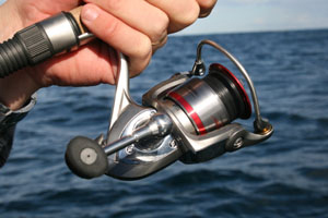 Team Daiwa Advantage 2000A spin reel